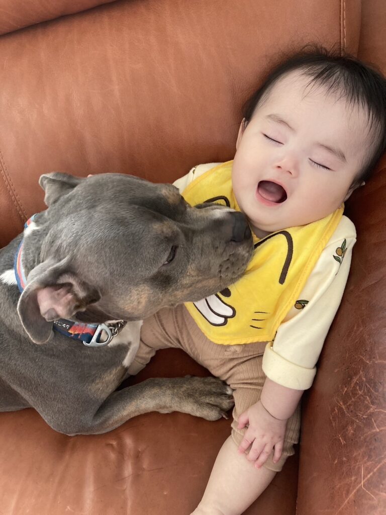 あかちゃんと犬