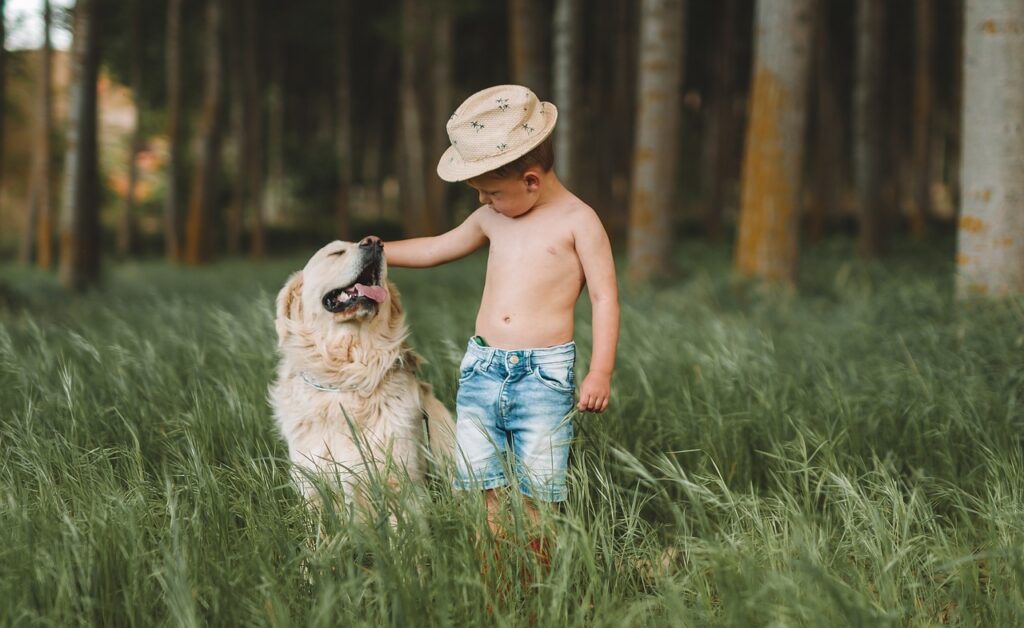 子どもと犬